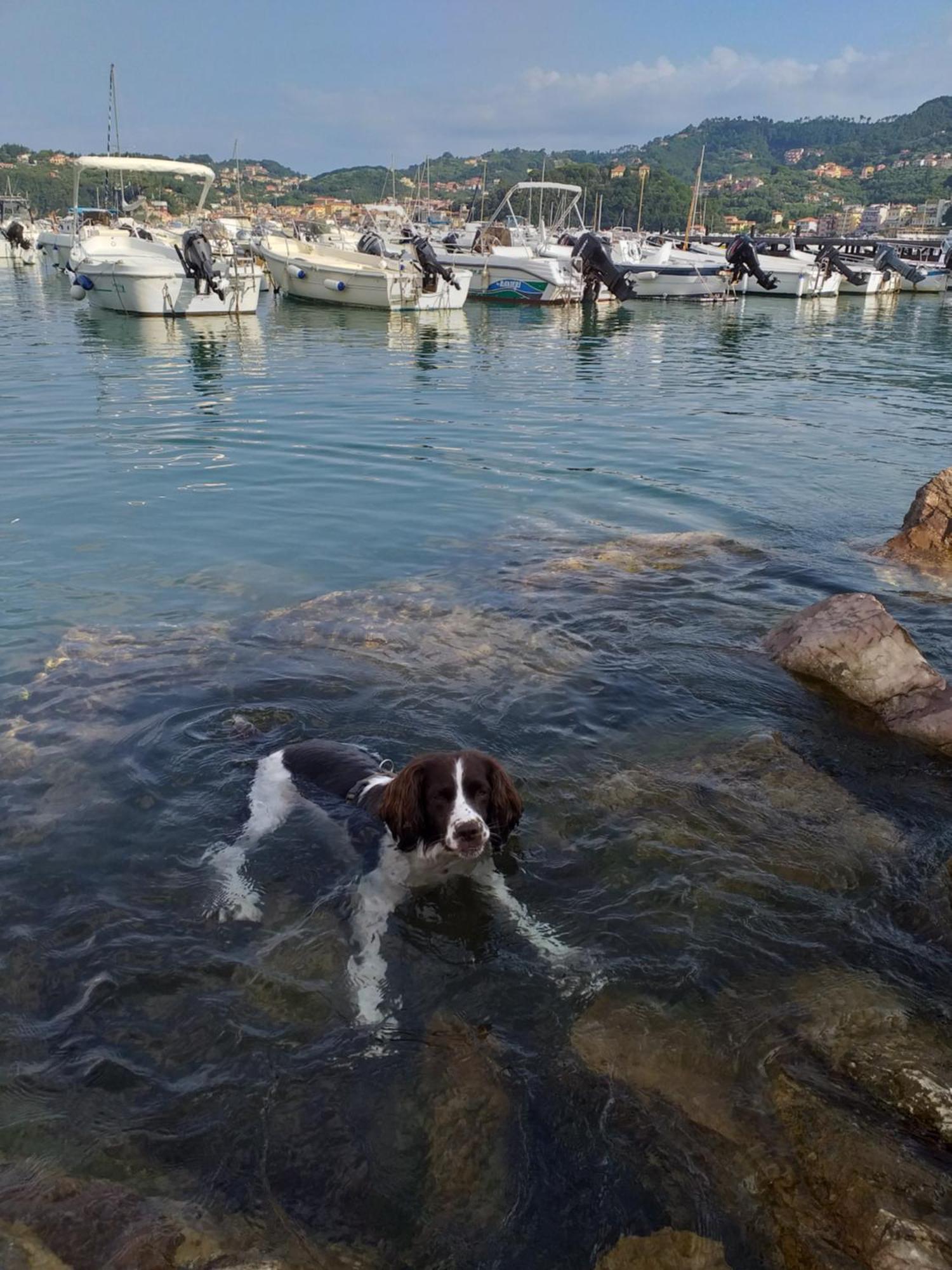 Casa A Lerici Nell'Antico Borgo Villa Kültér fotó